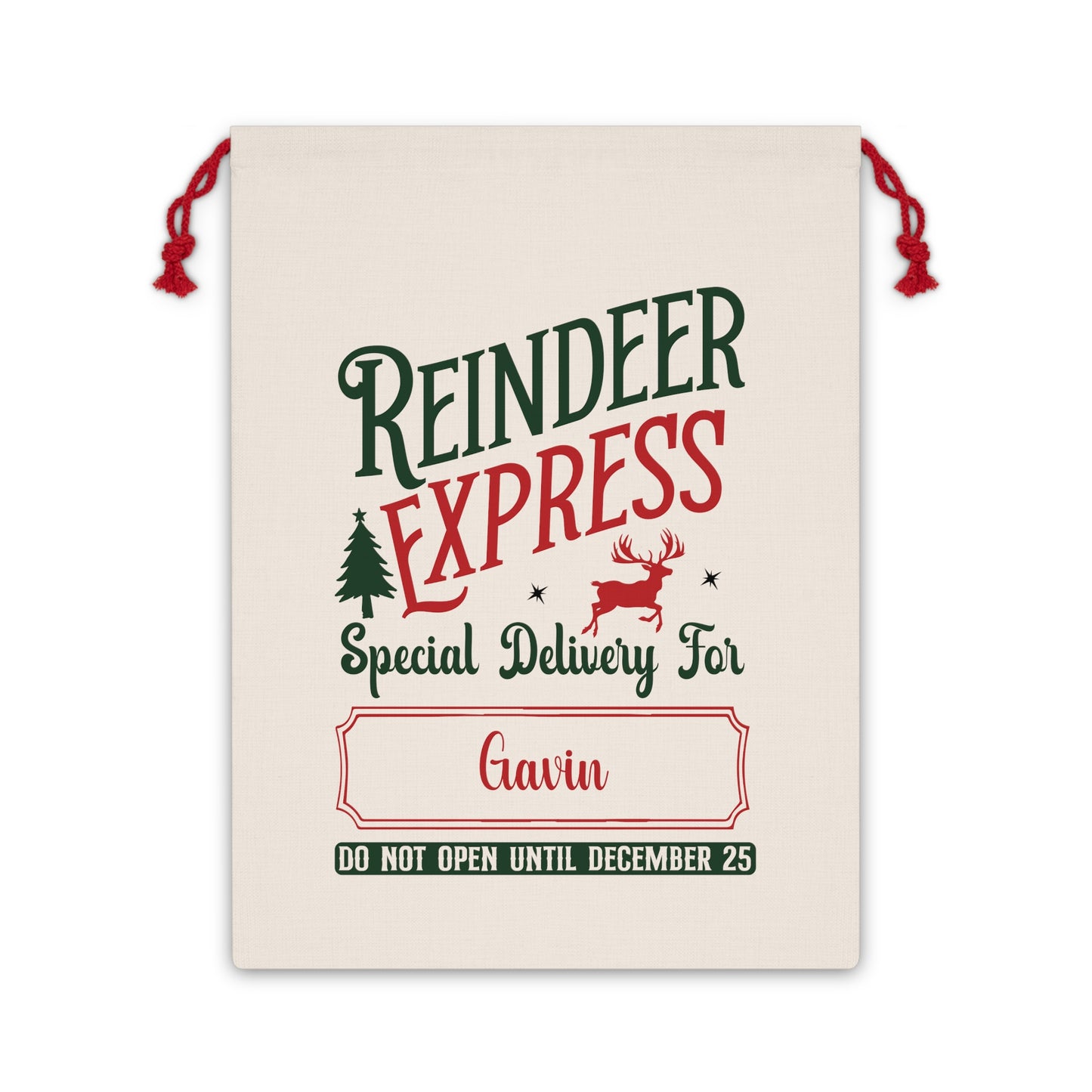 Personalized from Santa Gift Bag - Reindeer Express Special Delivery